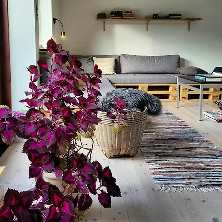 Сasa de vacaciones 70s House With Design, Soul, And Rustic Details Fjellerup Strand